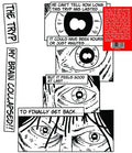 Tryp: My Brain Collapsed -LP
