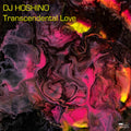 DJ Hoshino: Transcendental Love - (VINYL LP)