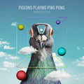 Pigeons Playing Ping Pong: Perspective -LP