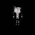 Bullet for My Valentine: Bullet For My Valentine - COMPACT DISCS