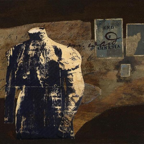 M. Ward: End Of Amnesia -LP
