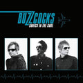 Buzzcocks: Sonics In The Soul -LP