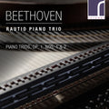Rautio Piano Trio: Piano Trios 1 1 & 2 - COMPACT DISCS