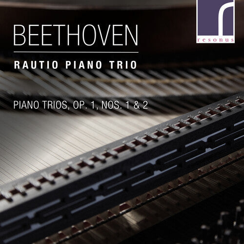 Rautio Piano Trio: Piano Trios 1 1 & 2 - COMPACT DISCS