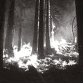 Den Sorte Dod: Undergangen - COMPACT DISCS