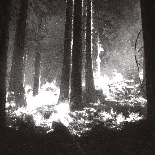 Den Sorte Dod: Undergangen -LP