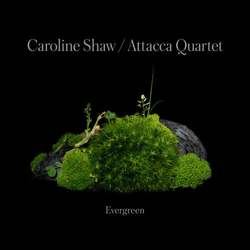 Caroline Shaw & Attacca Quartet: Caroline Shaw: Evergreen - COMPACT DISCS