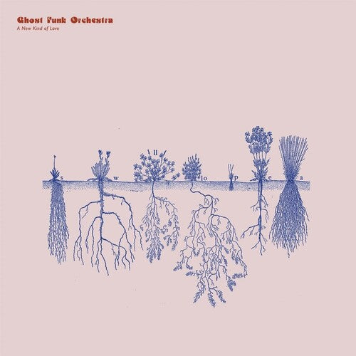 Ghost Funk Orchestra: A New Kind of Love -LP