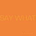 Say What: Say What -LP