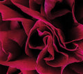 Ian Boddy: Coil - COMPACT DISCS