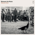 Various Artists: End Of The Road Presents: Between The Music / Var - (VINYL LP)