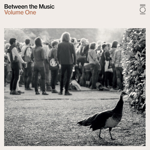 Various Artists: End Of The Road Presents: Between The Music / Var - (VINYL LP)