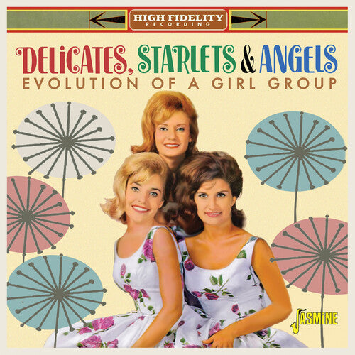 Delicates Starlets & Angels: Evolution Of A Vocal Group - COMPACT DISCS