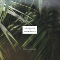 Bolivar, Pablo & Sensual Physics: Details Am Rande - (VINYL LP)