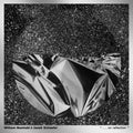 William Basinski: ". . . On Reflection" - Metallic Silver -LP