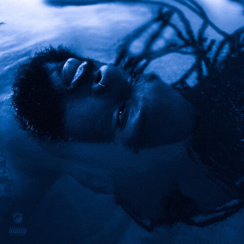 Rexx Life Raj: The Blue Hour -LP