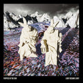 Puppies in the Sun: Light Became Light -LP