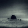 Drowse: Wane Into It -LP