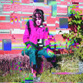 Buffalo Hunt: Ambitions Of Ambiguity - (VINYL LP)