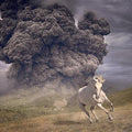 The White Buffalo: Year Of The Dark Horse - (VINYL LP)