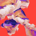 Bicep: Isles -LP
