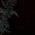Lucy Roleff: Dark Green -LP