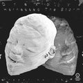 Drexciya: Harnessed The Storm -LP