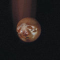 Poolblood: Mole -LP