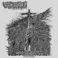 Vacuous: Dreams Of Dysphoria -LP