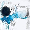 Rocky Votolato: Wild Roots -LP
