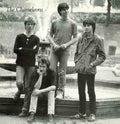 The Chameleons: TONY FLETCHER - 12-INCH SINGLE