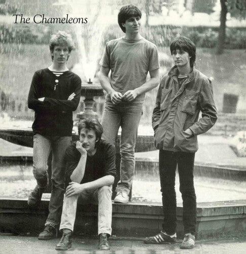 The Chameleons: TONY FLETCHER - 12-INCH SINGLE