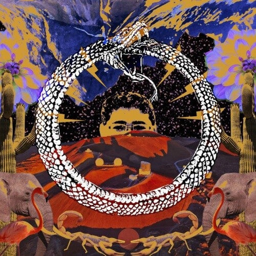 Stone House on Fire: Neverending Cycle -LP