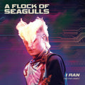 Flock of Seagulls: I Ran (So Far Away) -LP
