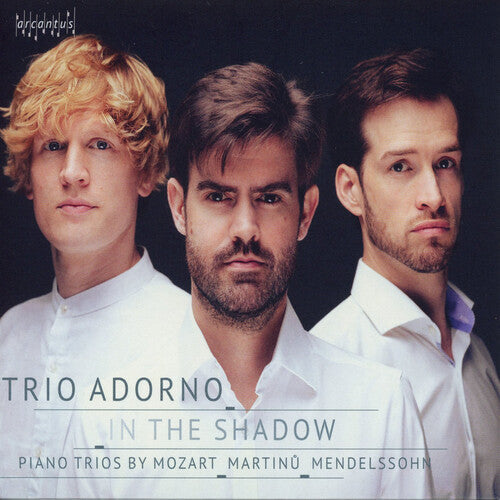 Trio Adorno: In the Shadow - CD