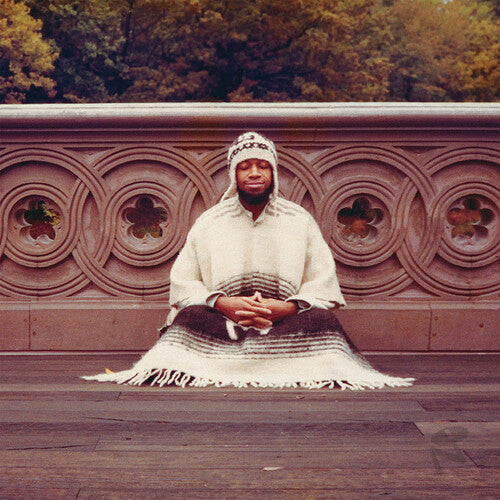 Laraaji: Segue To Infinity -LP