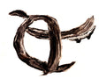 CARM: Carm Ii -LP