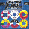 Various Artists: Sixties Boys-Hits And Rarities, Vol. 1 - CD