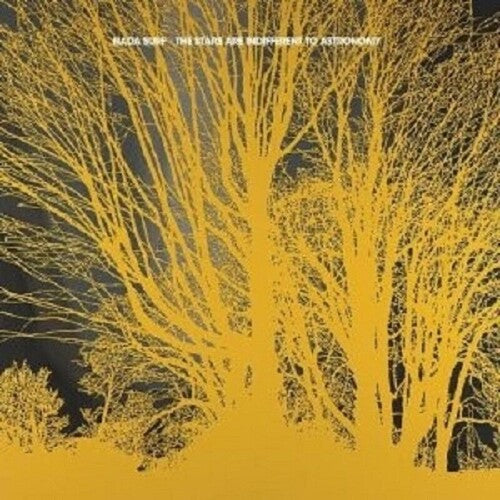 Nada Surf: Stars Are Indifferent To Astronomy -LP
