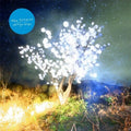 The Notwist: Vertigo Days -LP
