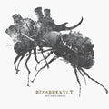 Bizarrekult: Den Tapte Krigen - COMPACT DISCS