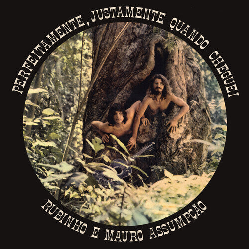 Rubinho E Mauro Assumpcao: Perfeitamente, Justamente Quando Cheguei - CD