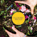 Braids: Euphoric Recall -LP