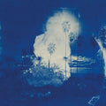Fruit Bats: A River Running to Your Heart -LP