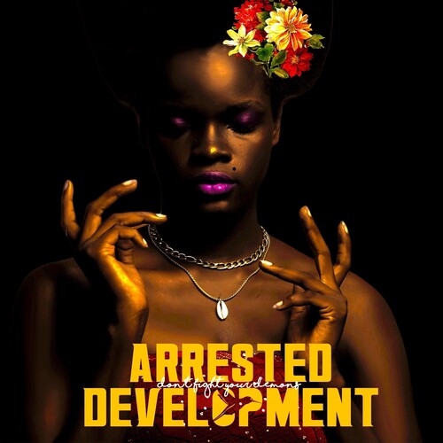 Arrested Development: Don't Fight Your Demons -LP