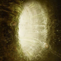 Omega Infinity: THE ANTICURRENT -LP