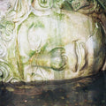 Doc Sleep: Birds (In My Mind Anyway) - CD