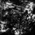 Full of Hell: Suffocating Hallucination -LP