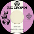 Bacao Rhythm & Steel Band: Hotline Bling B/w Murkit Gem - 7-INCH SINGLE