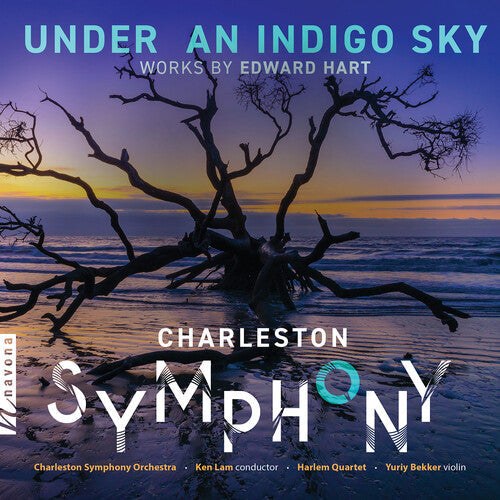 Yuriy Bekker: Under an Indigo Sky - CD